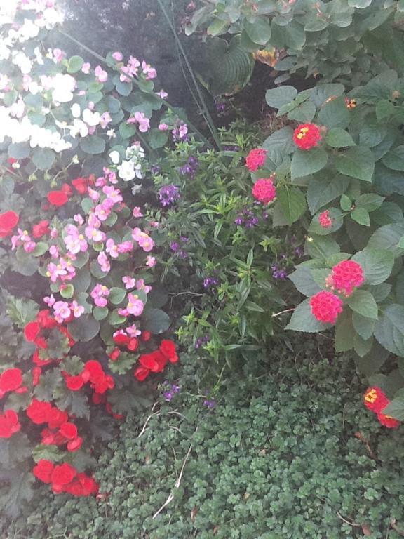 فيلادلفيا South Bridge Bed And Breakfast المظهر الخارجي الصورة