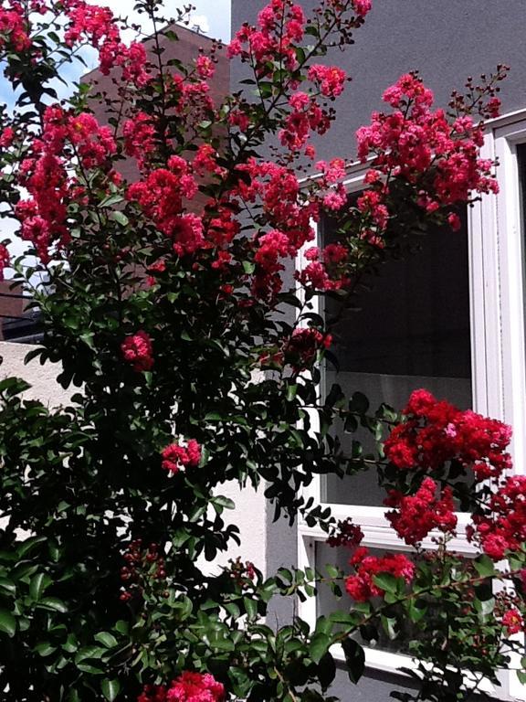فيلادلفيا South Bridge Bed And Breakfast المظهر الخارجي الصورة